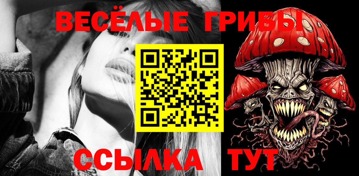 Буйнакск  Псилоцибиновые грибы прущие грибы  Вход с VPN  Галлюциногенные грибы Cubensis 
